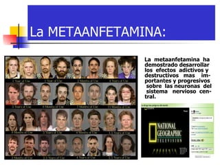 La METAANFETAMINA: La  metaanfetamina  ha demostrado desarrollar los  efectos  adictivos y destructivos  mas  im-portantes y progresivos  sobre  las neuronas  del  sistema  nervioso  cen-tral.   