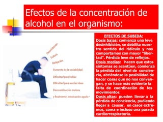 Efectos de la concentración de alcohol en el organismo: EFECTOS DE SUBIDA:   Dosis bajas : comienza una leve desinhibición, se debilita nues-tro  sentido  del  ridículo  y  nos comportamos con mayor “liber-tad”. Pérdida leve de reflejos.  Dosis medias :  hacen que estos síntomas se acentúen, comienza la pérdida del  nivel de  concien-cia, abriéndose la posibilidad de hacer cosas que no nos conven-gan, y se hace más evidente la falta  de  coordinación  de  los movimientos.  Dosis altas :  pueden  llevar a  la pérdida de conciencia, pudiendo llegar a  causar,  en casos extre-mos, coma e incluso una parada cardiorrespiratoria.   