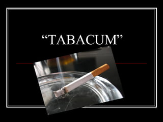 “ TABACUM” 