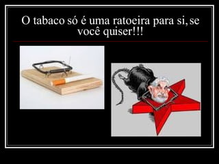 O tabaco só é uma ratoeira para si, se você quiser!!! 