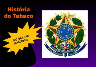 NO BRASÃO NACIONAL… 