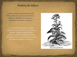 história do tabaco
A planta do tabaco, cientificamente chamada
Nicotiana Tabacum é uma planta da família das
solanáceas, cujas folhas, no estado fresco,
apresentam um cheiro forte e vigoroso.
O consumo do tabaco surgiu nas sociedade
indígenas na América Central em rituais mágico-
religiosos, estando o seu uso firmemente
estabelecido aquando a chegada dos primeiros
colonizadores. O seu uso foi introduzido na Europa
por Cristovão Colombo por volta de 1492.
 