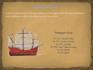  A planta foi denominada de Nicotiana tabacum em homenagem a Jean Nicot que acreditava nos
poderes medicinais da planta, estimulando por isso, a sua cultura.
Propagação do uso
Séc. x a.C. - Uso pelos índios
Séc. XVI - Entrada na Europa
Séc. XVII - Cachimbo
Séc. XVIII- Rapé e Tabaco de mascar
Séc. XIX- Charuto
Séc. XX- Cigarro
 