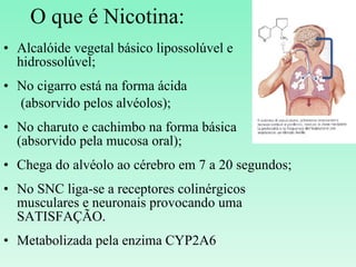 O que é Nicotina: Alcalóide vegetal básico lipossolúvel e hidrossolúvel; No cigarro está na forma ácida  (absorvido pelos alvéolos); No charuto e cachimbo na forma básica (absorvido pela mucosa oral); Chega do alvéolo ao cérebro em 7 a 20 segundos; No SNC liga-se a receptores colinérgicos musculares e neuronais provocando uma SATISFAÇÃO. Metabolizada pela enzima CYP2A6 .   