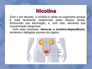 Nicotina
Com o pH elevado, a nicotina é retida no organismo porque
é mais facilmente reabsorvida pelos túbulos renais,
diminuindo sua eliminação, e, com isso, elevando sua
concentração sanguínea.
  Com esse processo, eleva-se a nicotino-dependência,
tornando o tabagista escravo do cigarro.
 