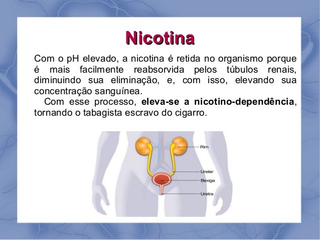 Potência em homens da casa