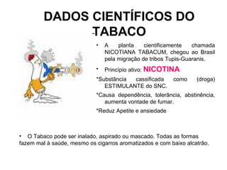 • A planta cientificamente chamada
NICOTIANA TABACUM, chegou ao Brasil
pela migração de tribos Tupis-Guaranis.
• Princípio ativo: NICOTINA
*Substância cassificada como (droga)
ESTIMULANTE do SNC.
*Causa dependência, tolerância, abstinência,
aumenta vontade de fumar.
*Reduz Apetite e ansiedade
DADOS CIENTÍFICOS DO
TABACO
• O Tabaco pode ser inalado, aspirado ou mascado. Todas as formas
fazem mal à saúde, mesmo os cigarros aromatizados e com baixo alcatrão.
 