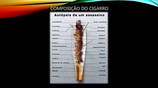 COMPOSIÇÃO DO CIGARRO
 