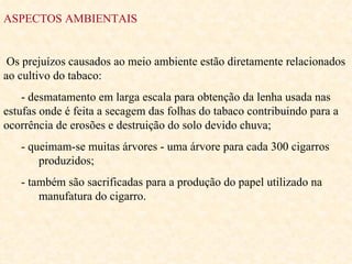 ASPECTOS AMBIENTAIS Os prejuízos causados ao meio ambiente estão diretamente relacionados ao cultivo do tabaco: - desmatamento em larga escala para obtenção da lenha usada nas estufas onde é feita a secagem das folhas do tabaco contribuindo para a ocorrência de erosões e destruição do solo devido chuva; - queimam-se muitas árvores - uma árvore para cada 300 cigarros  produzidos; - também são sacrificadas para a produção do papel utilizado na  manufatura do cigarro.  