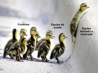 Equipe
treinada e
motivada
Equipe de
saúde
Fumantes
 