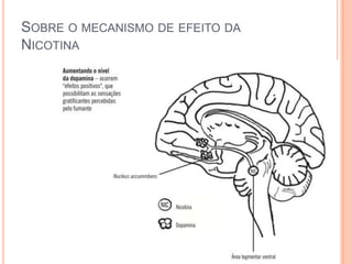 SOBRE O MECANISMO DE EFEITO DA
NICOTINA
 