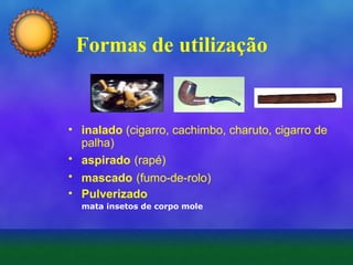 Formas de utilização

• inalado (cigarro, cachimbo, charuto, cigarro de
palha)
• aspirado (rapé)
• mascado (fumo-de-rolo)
• Pulverizado
mata insetos de corpo mole

 