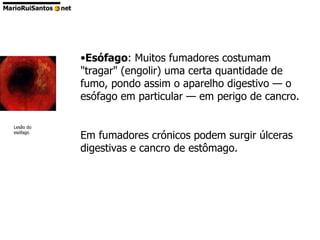 Esófago : Muitos fumadores costumam "tragar" (engolir) uma certa quantidade de fumo, pondo assim o aparelho digestivo — o esófago em particular — em perigo de cancro. Em fumadores crónicos podem surgir úlceras digestivas e cancro de estômago. Lesão do esófago 