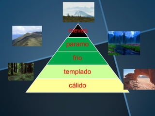 nieves
paramo
frio
templado
cálido