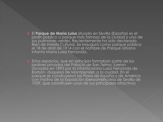  El Parque de María Luisa situado en Sevilla (España) es el
jardín público o parque más famoso de la ciudad y uno de
sus pulmones verdes. Recientemente ha sido declarado
Bien de Interés Cultural. Se inauguró como parque público
el 18 de abril de 1914 con el nombre de Parque Urbano
Infanta María Luisa Fernanda.
 Estos espacios, que en principio formaban parte de los
jardines privados del Palacio de San Telmo, fueron
donados en 1893 por la infanta María Luisa Fernanda de
Borbón, duquesa de Montpensier, a la ciudad. En el
parque se construyeron las Plaza de España y de América
con motivo de la Exposición Iberoamericana de Sevilla de
1929, que constituyen unos de sus principales atractivos
 