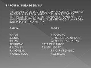 PARQUE Mª LUISA DE SEVILLA:
HISTORIAL:ERA DE LOS REYES, COMO FALTABAN JARDINES
EN SEVILLA. LA REINA ABRIO SUS PUERTAS, Y DESDE
ENTONCES, LOS NIÑOS DISFRUTABAN DEL AMBIENTE. HAY
UN MONUMENTO EN QUE Mª LUISA SE VE CON UNA ROSA
QUE REPRESENTA A SU HIJA.
FAUNA FLORA
PATOS PITOSFORO
CISNES ARBOL DE CAMUFLAJE
OCAS ARBOL DE LAS LIANAS
TORTUGAS PATA DE ELFANTE
PALOMAS BAMBU NEGRO
PAVO REAL PINO PIÑPONERO
PICUDO ROJO ACEBUCHE
 
