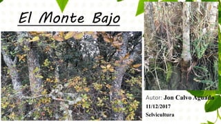 El Monte Bajo
Autor: Jon Calvo Aguado
11/12/2017
Selvicultura
 