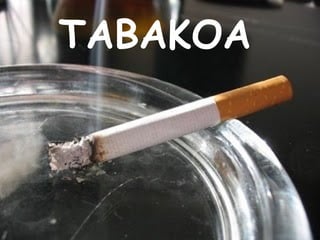 TABAKOA 