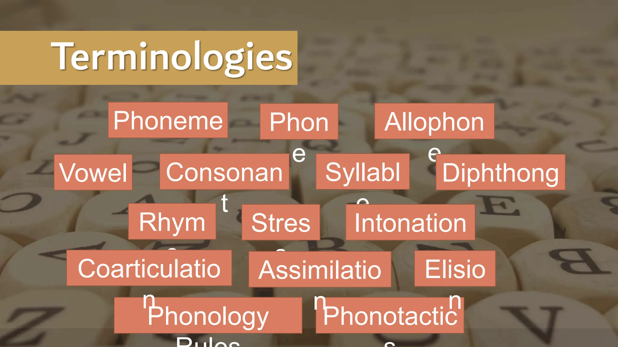 Linguistics - Introduction to Linguistics | PDF