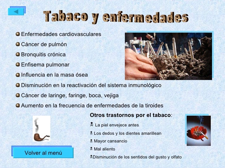 Las instrucciones en tabeks