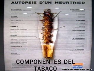 COMPONENTES DEL TABACO 