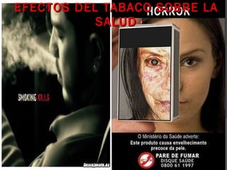 EFECTOS DEL TABACO SOBRE LA SALUD 