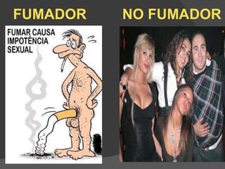 FUMADOR  NO FUMADOR 