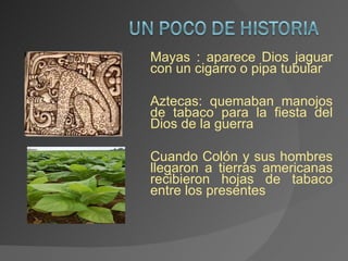 Mayas : aparece Dios jaguar con un cigarro o pipa tubular Aztecas: quemaban manojos de tabaco para la fiesta del Dios de la guerra Cuando Colón y sus hombres llegaron a tierras americanas recibieron hojas de tabaco entre los presentes 