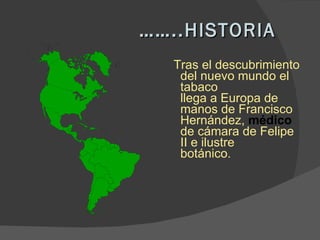  …… ..HISTORIA Tras el descubrimiento del nuevo mundo el tabaco  llega a Europa de manos de Francisco Hernández,  médico  de cámara de Felipe II e ilustre  botánico. 