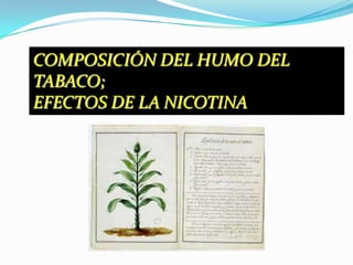 COMPOSICIÓN DEL HUMO DEL TABACO; EFECTOS DE LA NICOTINA