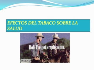 EFECTOS DEL TABACO SOBRE LA SALUD
