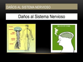 DAÑOS AL APARATO CIRCULATORIOHipertensión arterial