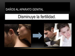 DAÑOS AL APARATO RESPIRATORIOCáncer de Pulmón