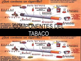 COMPONENTES DEL TABACO