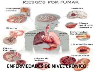 ENFERMEDADES DE NIVEL CRÓNICO.