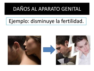 DAÑOS AL APARATO GENITALEjemplo: disminuye la fertilidad.