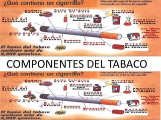 COMPONENTES DEL TABACO