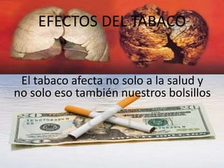 EFECTOS DEL TABACOEl tabaco afecta no solo a la salud y no solo eso también nuestros bolsillos 