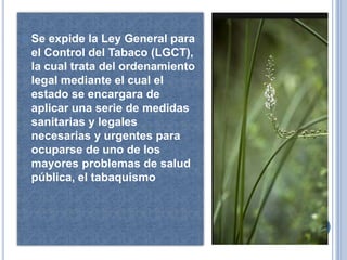    Se expide la Ley General para
    el Control del Tabaco (LGCT),
    la cual trata del ordenamiento
    legal mediante el cual el
    estado se encargara de
    aplicar una serie de medidas
    sanitarias y legales
    necesarias y urgentes para
    ocuparse de uno de los
    mayores problemas de salud
    pública, el tabaquismo
 