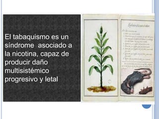 El tabaquismo es un
síndrome asociado a
la nicotina, capaz de
producir daño
multisistémico
progresivo y letal
 