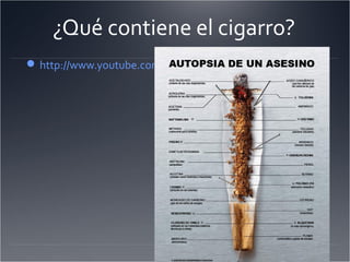 ¿Qué contiene el cigarro?
 http://www.youtube.com/watch?v=ScMESUWHo34

 
