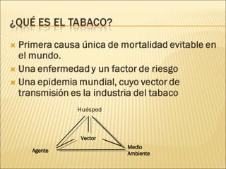 Medio Ambiente Agente Vector 