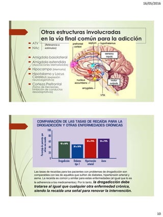 16/05/2016
10
Otras estructuras involucradas
en la vía final común para la adicción
 ATV
 NAc
 Amigdala basolateral
 Amigdala extendida
(Asociaciones Memorizadas)
 Hipocampo (Memoria)
 Hipotalamo y Locus
Cereleus (expresión
neurovegetativa)
 Corteza Prefrontal
(Toma de Decisiones,
inhibición de conductas
desadaptativas)
(Relevancia a
estímulos)
Las tasas de recaídas para los pacientes con problemas de drogadicción son
comparables con las de aquellos que sufren de diabetes, hipertensión arterial y
asma. La recaída es común y similar para estas enfermedades (al igual que lo es
la adherencia a los medicamentos). Por lo tanto, la drogadicción debe
tratarse al igual que cualquier otra enfermedad crónica,
siendo la recaída una señal para renovar la intervención.
 