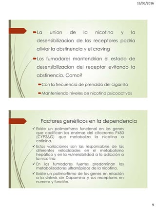 16/05/2016
9
La union de la nicotina y la
desensibilizacion de los receptores podria
aliviar la abstinencia y el craving
Los fumadores mantendrían el estado de
desensibilizacion del receptor evitando la
abstinencia. Como?
Con la frecuencia de prendido del cigarrillo
Manteniendo niveles de nicotina psicoactivos
Factores genéticos en la dependencia
 Existe un polimorfismo funcional en los genes
que codifican las enzimas del citocromo P450
(CYP2AG) que metaboliza la nicotina a
cotinina.
 Estas variaciones son las responsables de las
diferentes velocidades en el metabolismo
hepático y en la vulnerabilidad a la adicción a
la nicotina
 En los fumadores fuertes predominan los
metabolizadores ultrarrápidos de la nicotina.
 Existe un polimorfismo de los genes en relación
a la síntesis de Dopamina y sus receptores en
numero y función.
 