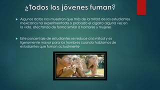 ¿ ?
 Algunos datos nos muestran que más de la mitad de los estudiantes
mexicanos ha experimentado o probado el cigarro alguna vez en
la vida, afectando de forma similar a hombres y mujeres
 Este porcentaje de estudiantes se reduce a la mitad y es
ligeramente mayor para los hombres cuando hablamos de
estudiantes que fuman actualmente
 