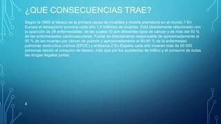 ¿QUE CONSECUENCIAS TRAE? 
Según la OMS el tabaco es la primera causa de invalidez y muerte prematura en el mundo.1 En 
Europa el tabaquismo provoca cada año 1,2 millones de muertes. Está directamente relacionado con 
la aparición de 29 enfermedades, de las cuales 10 son diferentes tipos de cáncer y de más del 50 % 
de las enfermedades cardiovasculares. Fumar es directamente responsable de aproximadamente el 
90 % de las muertes por cáncer de pulmón y aproximadamente el 80-90 % de la enfermedad 
pulmonar obstructiva crónica (EPOC) y enfisema.2 En España cada año mueren más de 50 000 
personas debido al consumo de tabaco, más que por los accidentes de tráfico y el consumo de todas 
las drogas ilegales juntas. 
4 
 