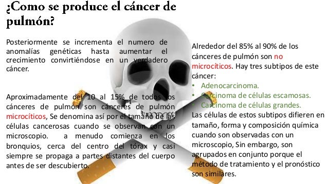 dieta para adelgazar para niГ±a de 10 aГ±os Una retencin dieta para adelgazar para niГ±a de 10 aГ±os lipoatrofia perdida