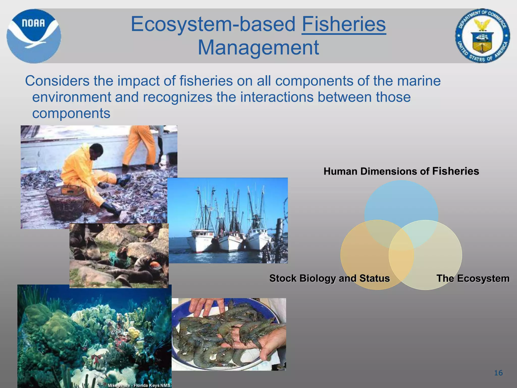 16
Ecosystem-based Fisheries
Management
Considers the impact of fisheries on all components of the marine
environment and recognizes the interactions between those
components
Human Dimensions of Fisheries
The EcosystemStock Biology and Status
 