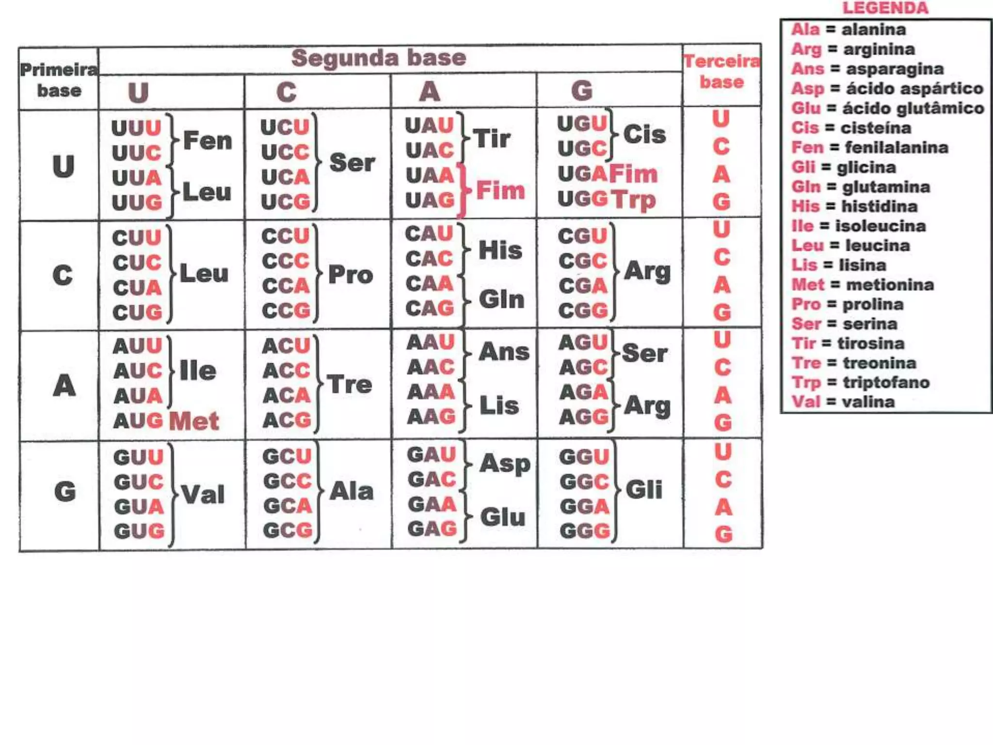 Codons Collections Tabela codons | PPTX