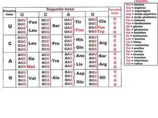 Tabela codons